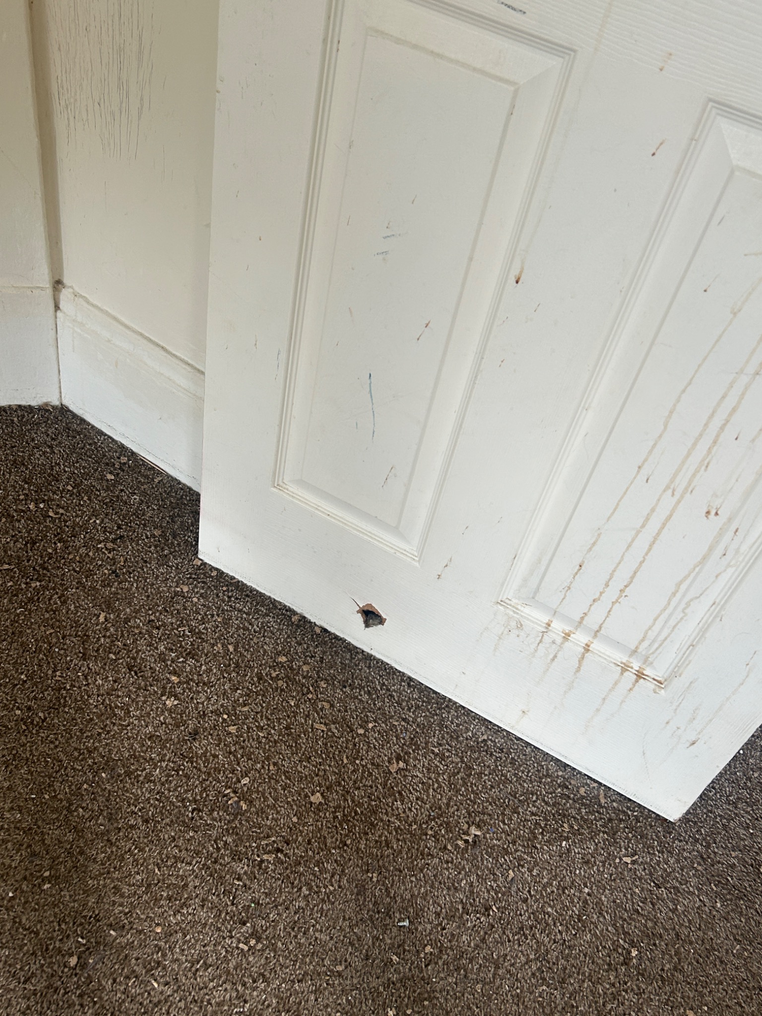 Property condition before repairs